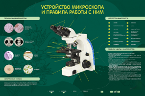 Электрифицированный стенд "Устройство микроскопа и правила работы c ним" - fgospostavki.ru - Яблоновский
