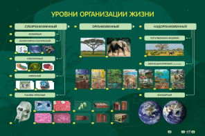 Электрифицированный стенд "Уровни организации жизни" - fgospostavki.ru - Яблоновский