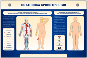Электрифицированный стенд-тренажер "Остановка кровотечения" - fgospostavki.ru - Яблоновский
