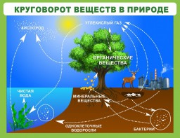 Стенд "Круговорот веществ" - fgospostavki.ru - Яблоновский