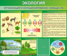 Стенд "Экология. Организация и функционирование сообществ" - fgospostavki.ru - Яблоновский