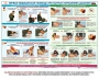 Комплект плакатов "Оказание первой доврачебной медицинской помощи" - fgospostavki.ru - Яблоновский