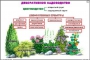 Комплект кодотранспарантов "Культурные растения" - fgospostavki.ru - Яблоновский