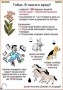 Комплект кодотранспарантов "Ядовитые растения" - fgospostavki.ru - Яблоновский