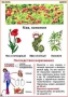 Комплект кодотранспарантов "Ядовитые растения" - fgospostavki.ru - Яблоновский